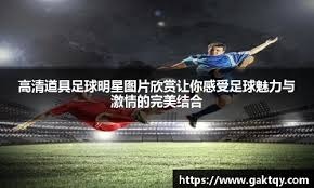 图片报：阿德耶米因非法持有武器被检察院判处罚款45万欧