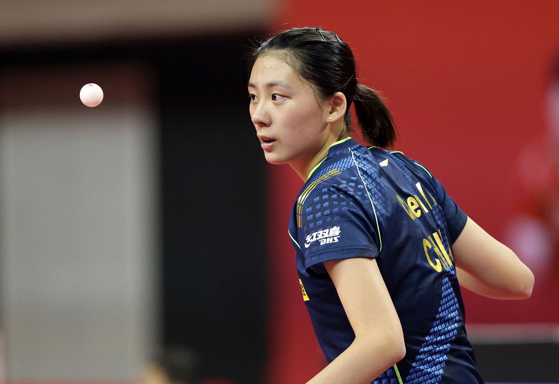 在联盟中的 在联盟中的